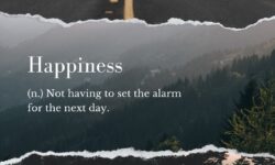 india holiday packages