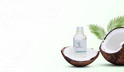 Essential oil exporters