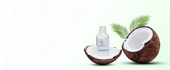 Essential oil exporters