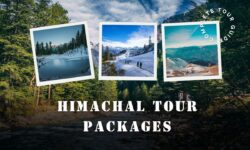 Trekking in Himachal: Raw Trails, Old Paths, Real Journeys