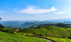 Trekking in Himachal: Raw Trails, Old Paths, Real Journeys