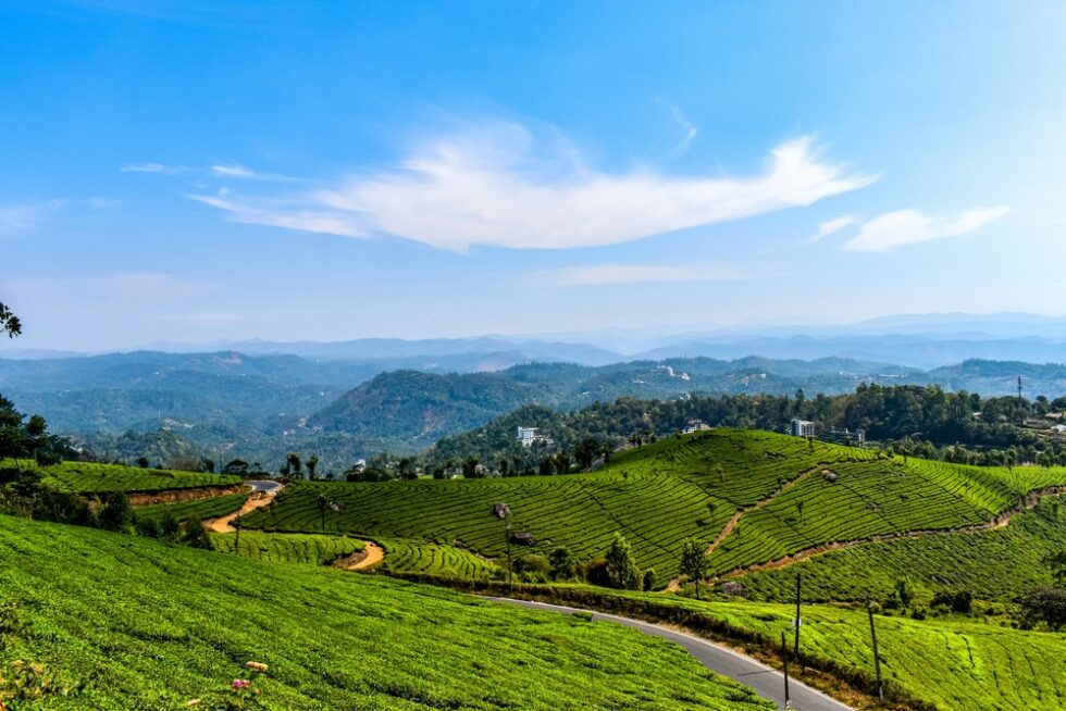 Trekking in Himachal: Raw Trails, Old Paths, Real Journeys
