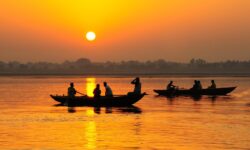golden triangle tour with Ranthambore