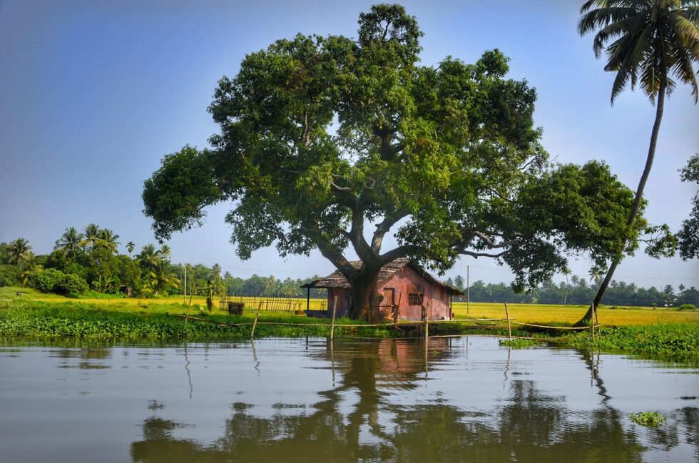 kerala private tours